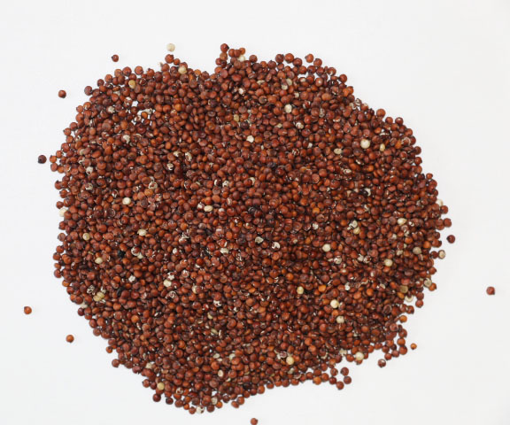 BIO Quinoa Korn (rot), 5kg Big Pack	