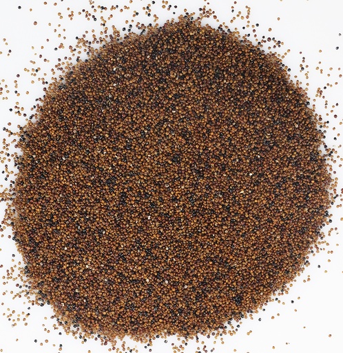 [ML-1166] BIO Kañihua Korn, 5kg Big Pack